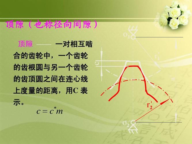 渐开线标准直齿圆柱齿轮参数详解与PPT演示概要